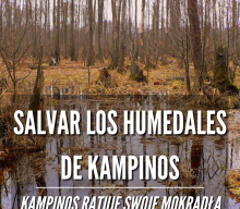 Salvar los humedales de Kampinos / Kampinos ratuje swoje mokradła