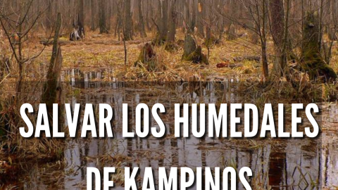 Salvar los humedales de Kampinos / Kampinos ratuje swoje mokradła