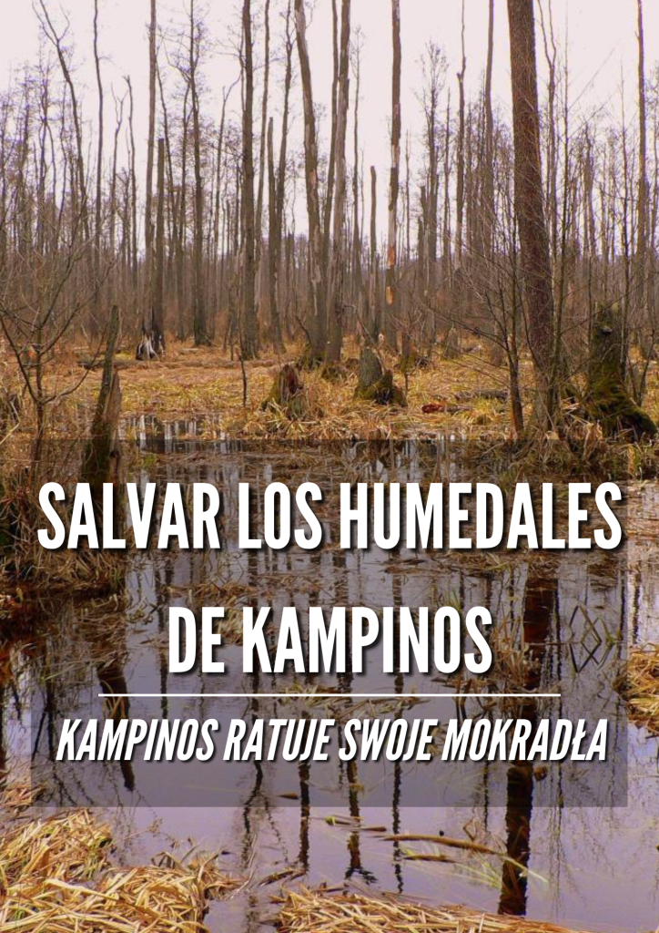 Salvar los humedales de Kampinos / Kampinos ratuje swoje mokradła
